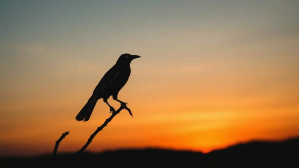 crow symbolism