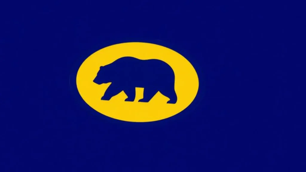 bear symbolism