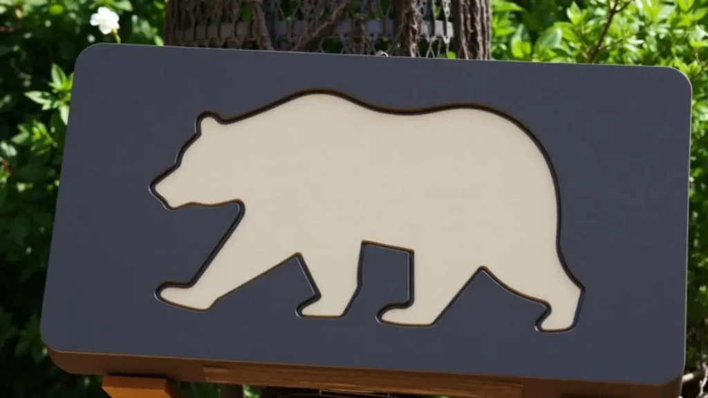 bear symbolism