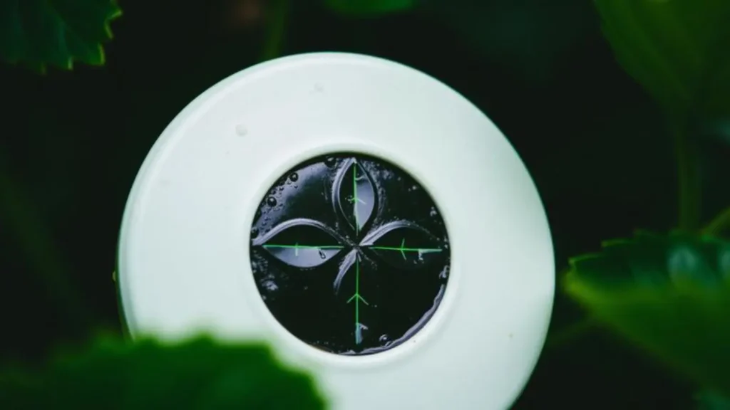 green symbolism