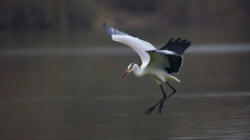 heron symbolism
