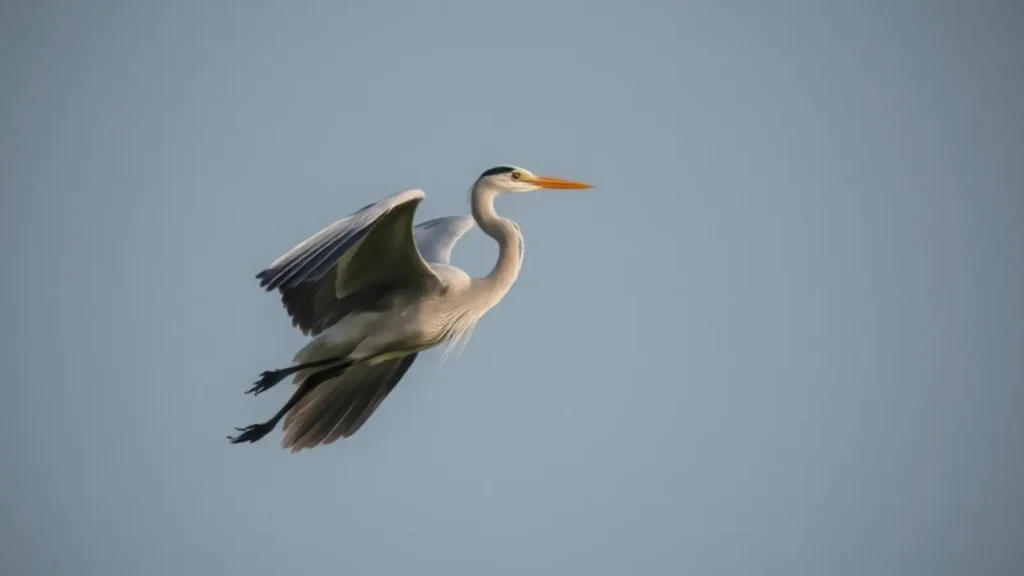 heron symbolism