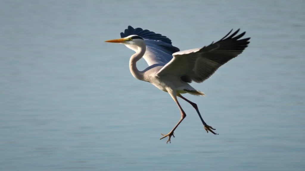 heron symbolism