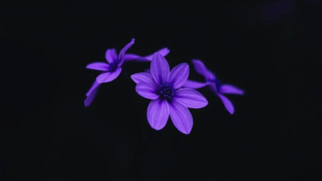 purple symbolism