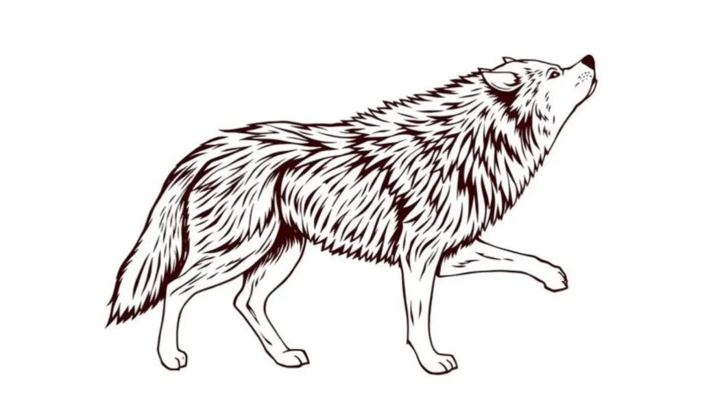 wolf symbolism