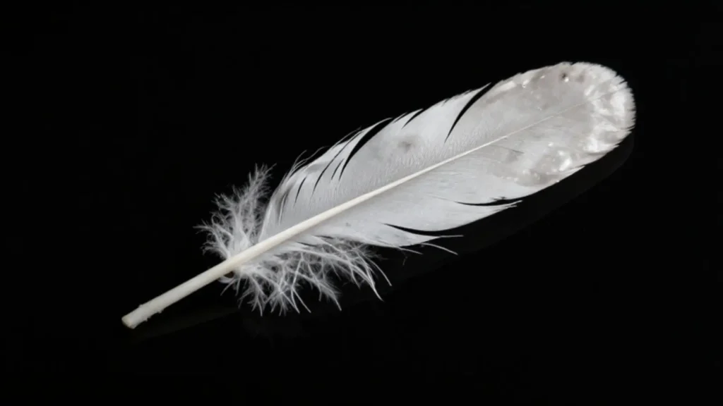 feather symbolism