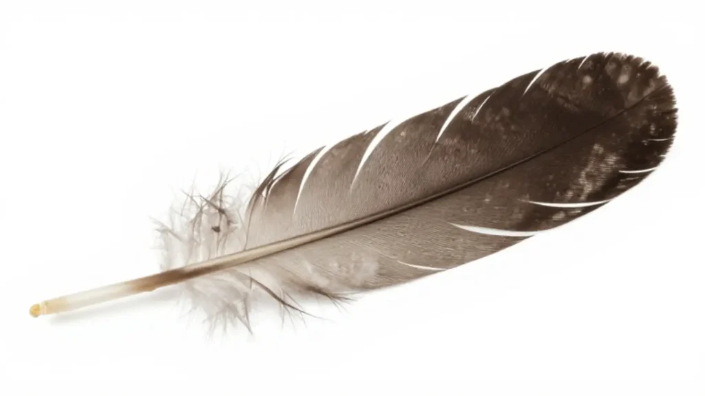 feather symbolism