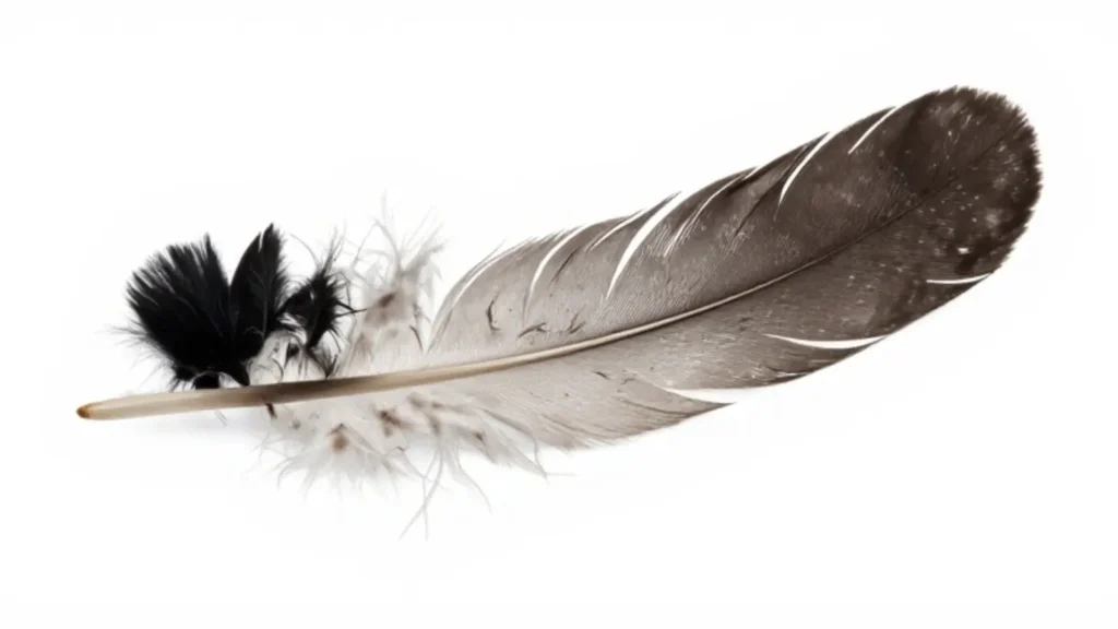 feather symbolism