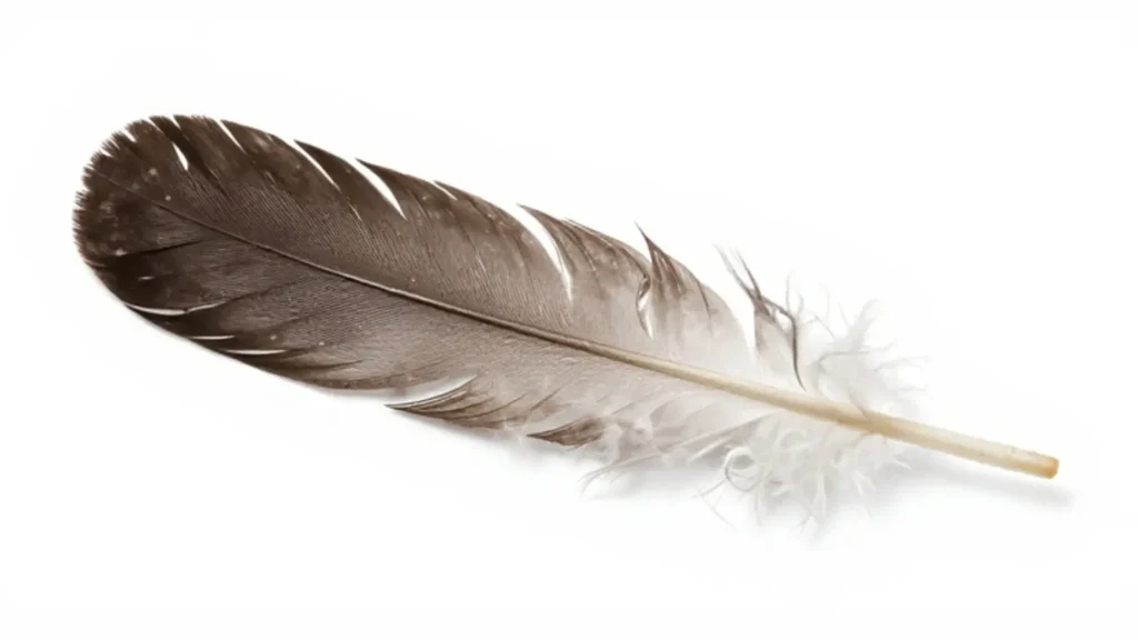 feather symbolism