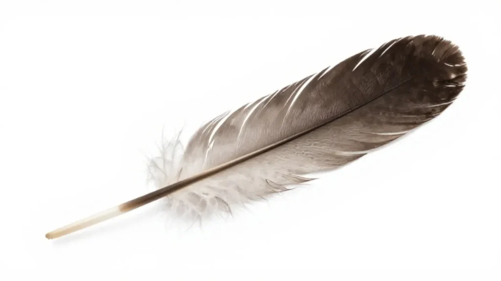feather symbolism